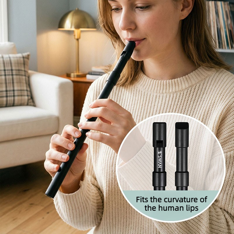 Penny Whistle D - صفارة تين وِزل محمولة للمبتدئين بمفاتيح