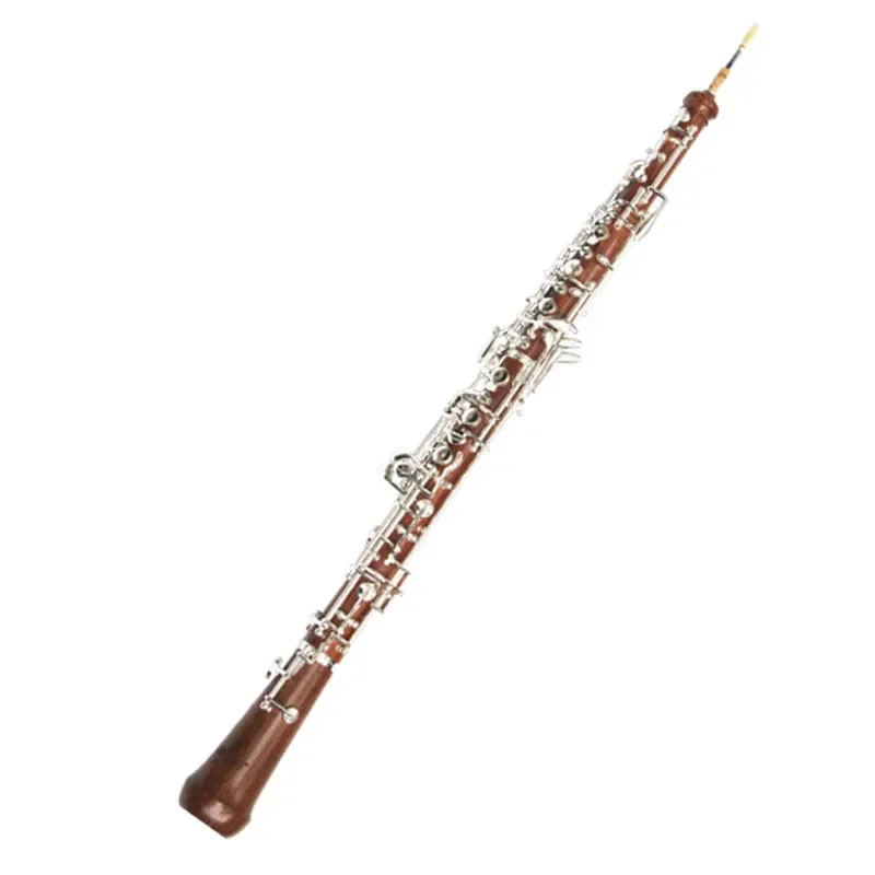 Musical Instrument In Orchestra - آلة الأوبواه سي، مطلية بالنحاس الأبيض