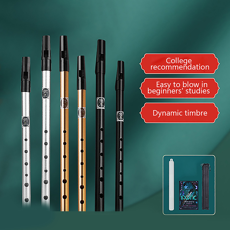 فلوت معدني مع 6 فتحات ، مفتاح  - مراجعة Penny Whistle D وسعره