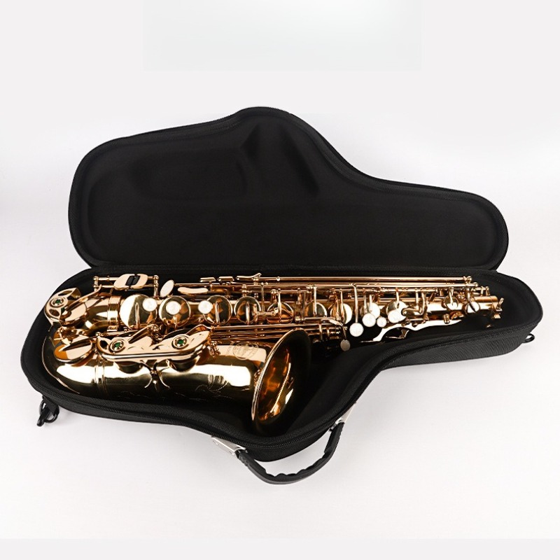 أكسفورد القماش ألتو الساكسفون  - مراجعة Musical Instrument Bag وسعره
