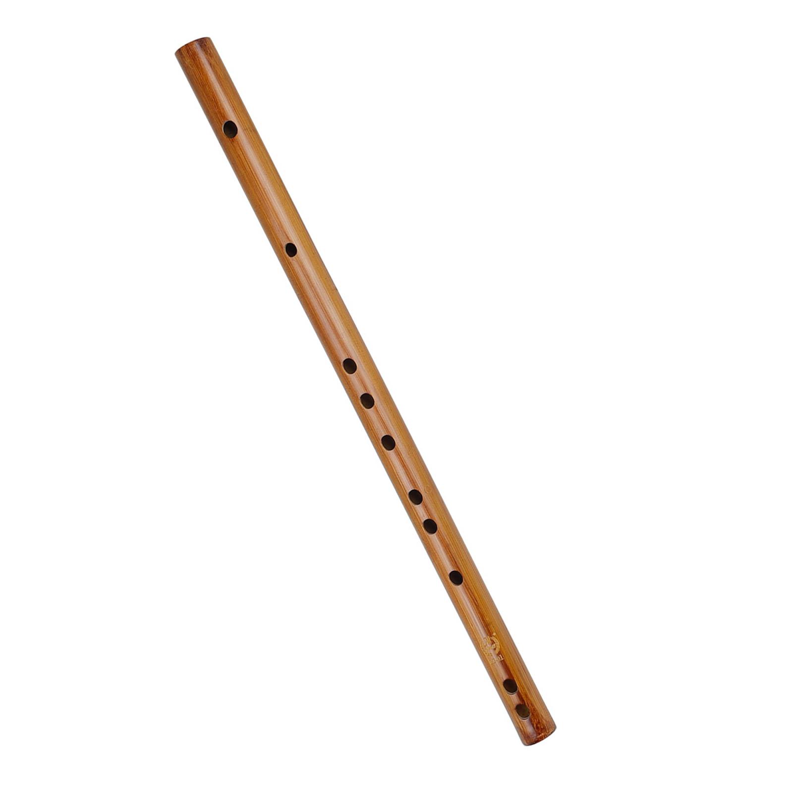 هدية عيد ميلاد فريدة من نوعها  - مراجعة Musical Instrument Indian وسعره