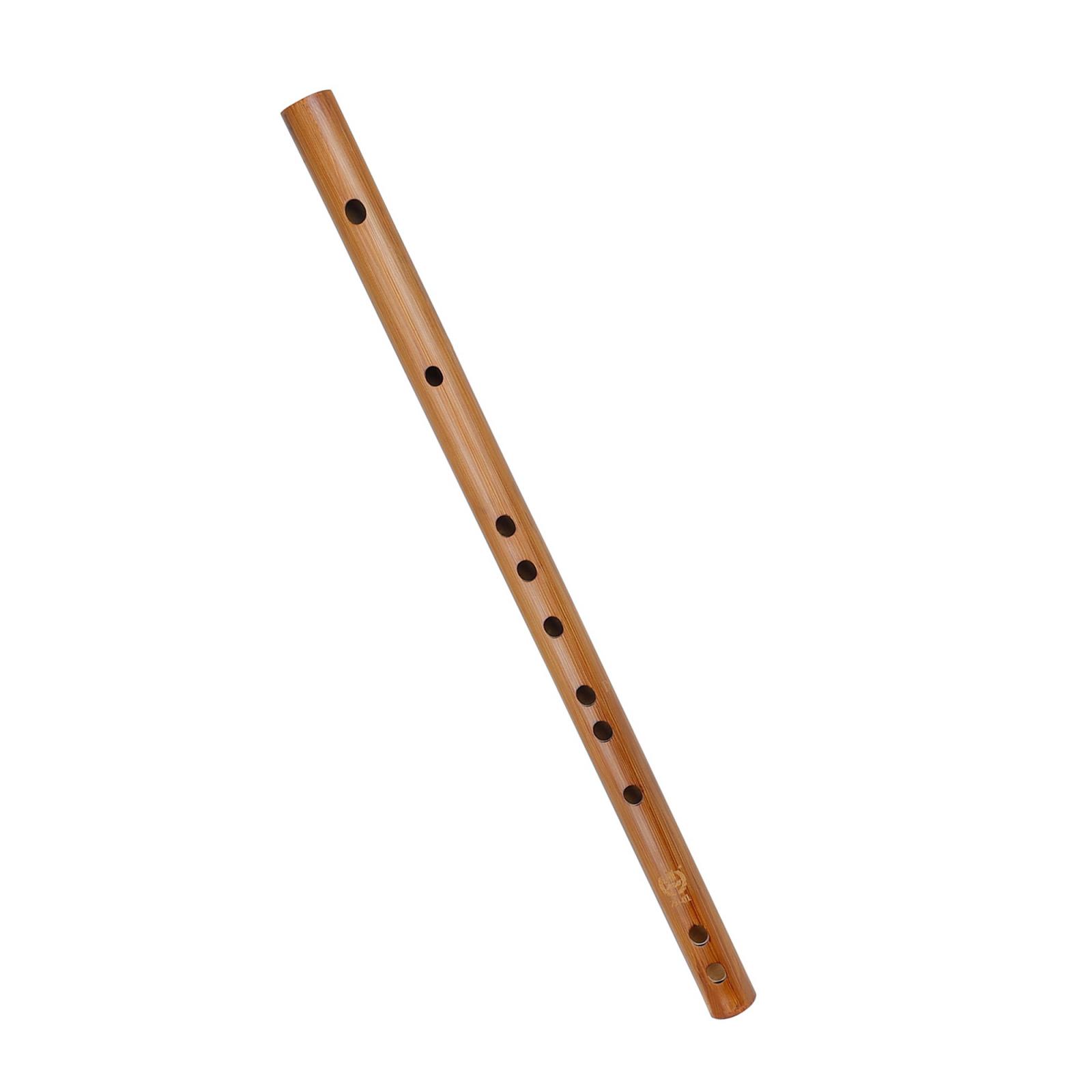 هدية عيد ميلاد فريدة من نوعها  - مراجعة Musical Instrument Indian وسعره