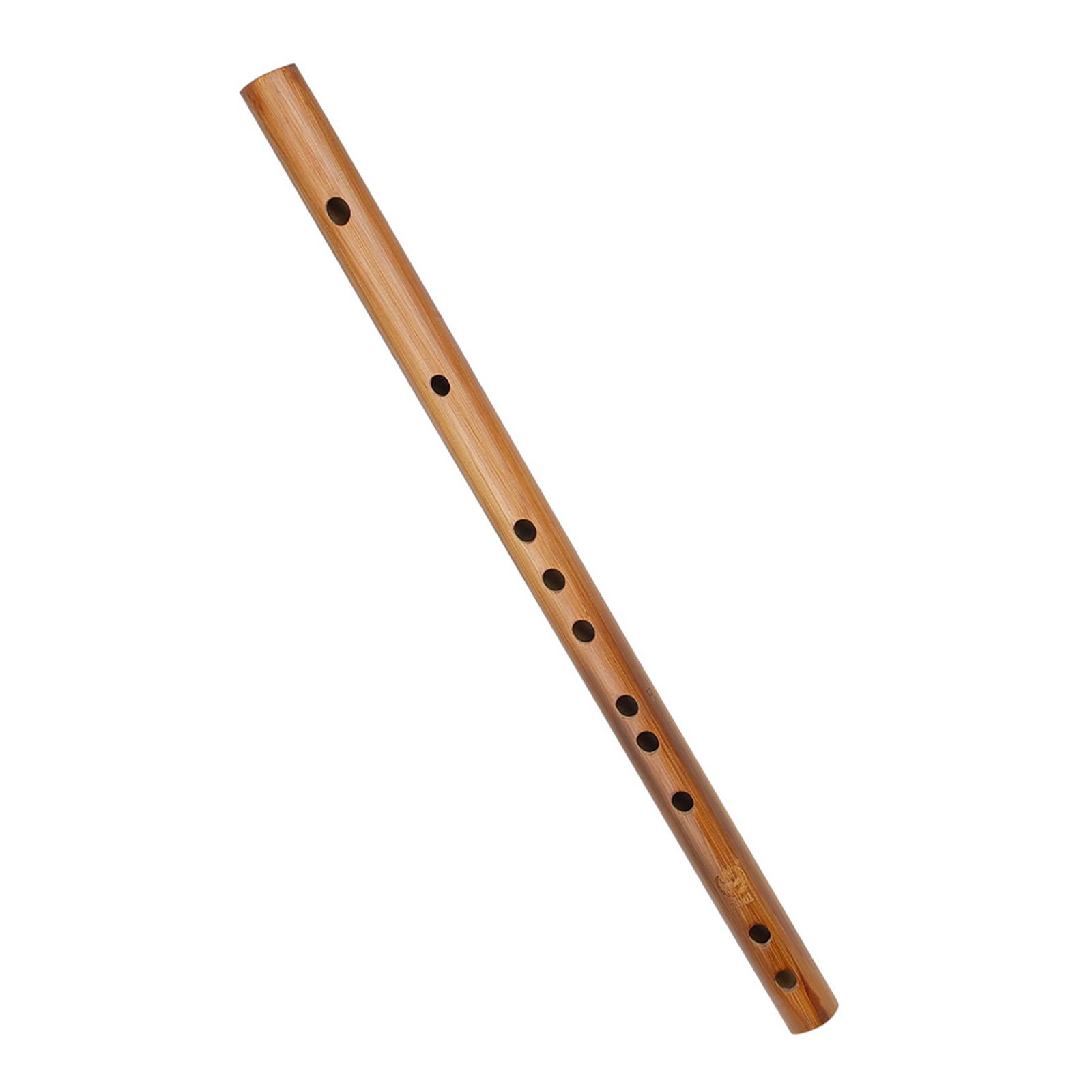 هدية عيد ميلاد فريدة من نوعها  - مراجعة Musical Instrument Indian وسعره