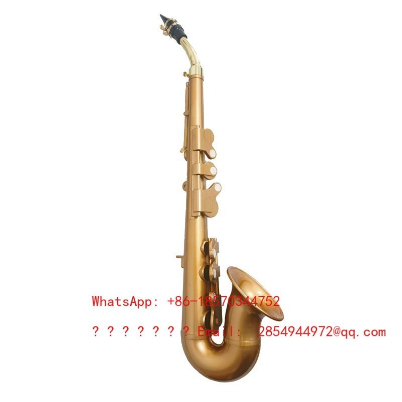 ساكسفون من الراتنج، آلة موسيقي - مراجعة Musical Instrument Easy To Learn For Adults وسعره