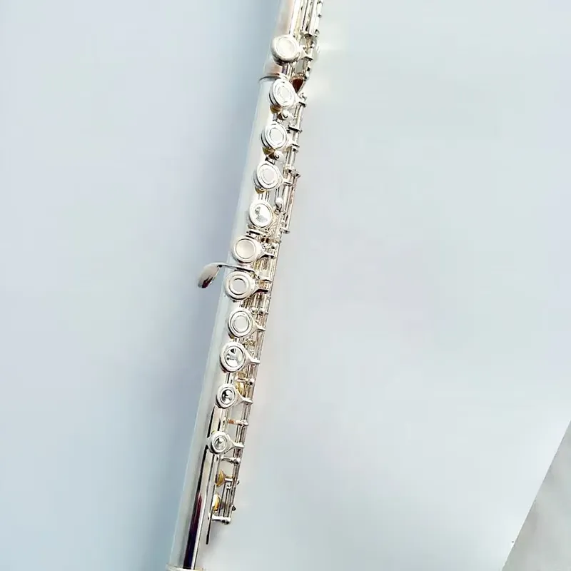 آلة فلوت فضية مطلية بـ 16 أو 1 - مراجعة Musical Instrument In Orchestra وسعره